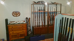 Loris International Gun Shop